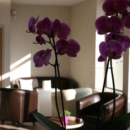 Hotel Bel Horizon Saint-Chély-dʼApcher Kültér fotó