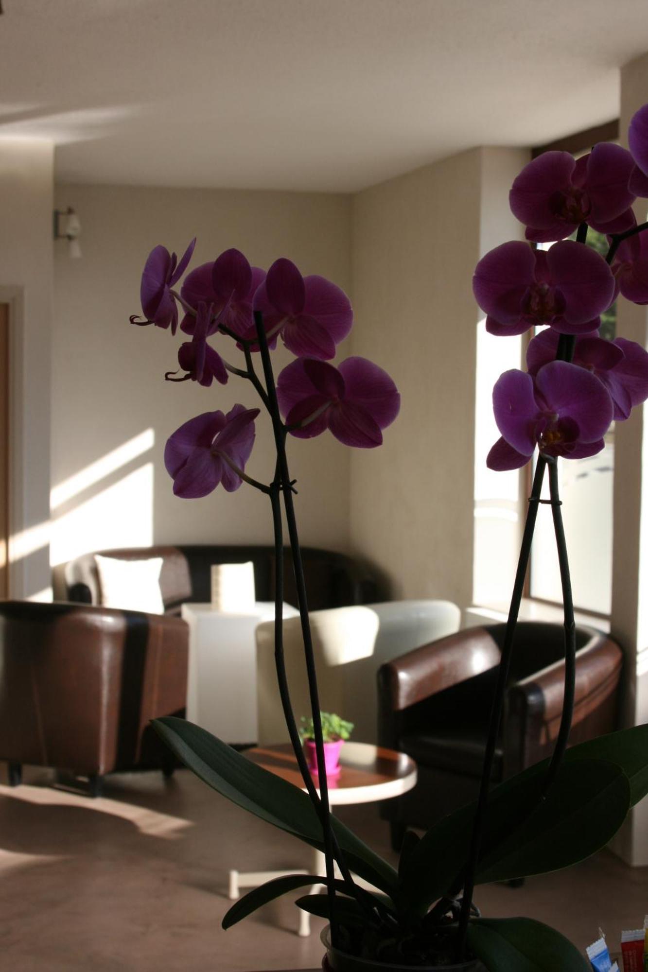Hotel Bel Horizon Saint-Chély-dʼApcher Kültér fotó